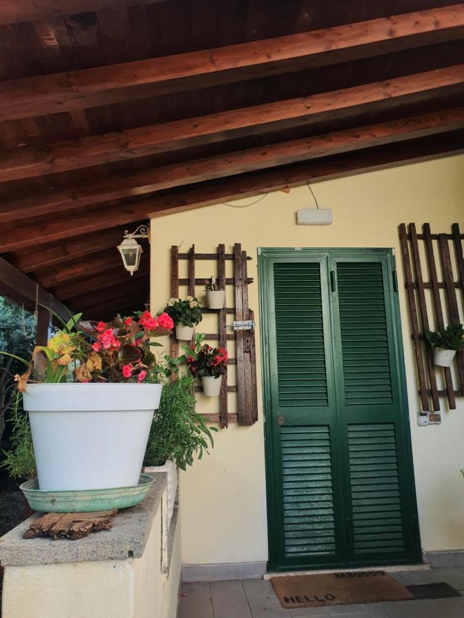 Andrea'S House Villa Fiumicino Luaran gambar